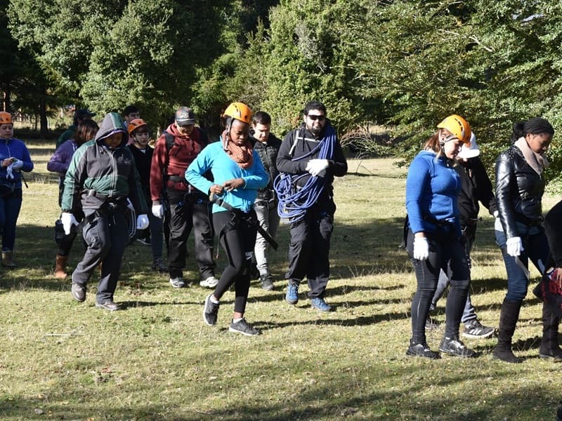 Actividades de liderazgo y coordinación grupal